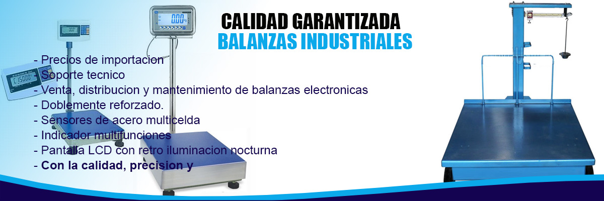 arreglo de balanzas electronicas